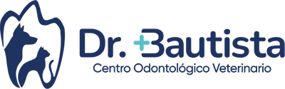 Odontología Veterinaria